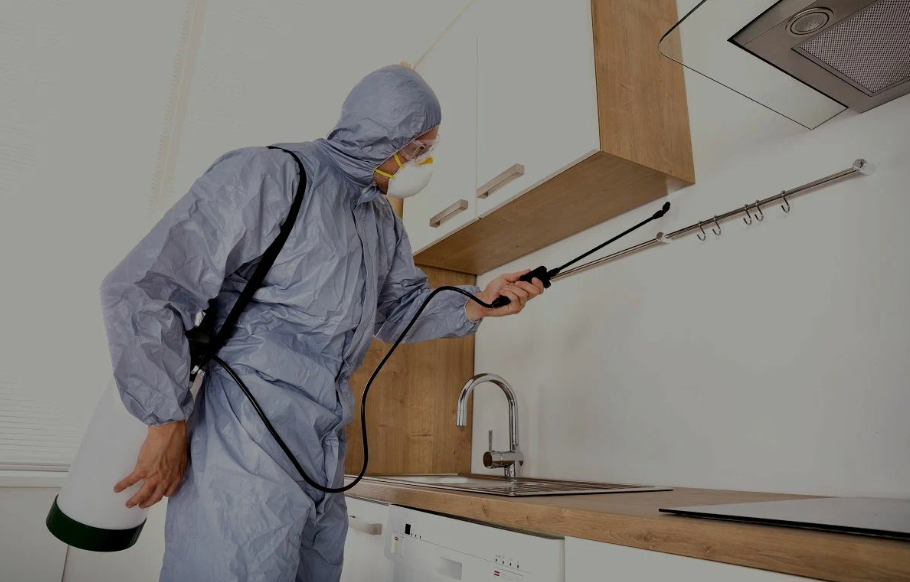Hurst pest managment